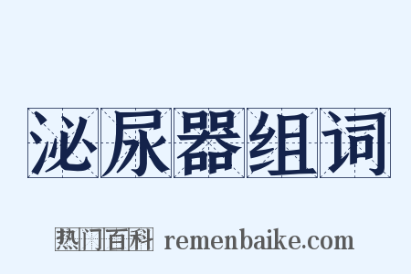 泌尿器组词是什么意思的图片